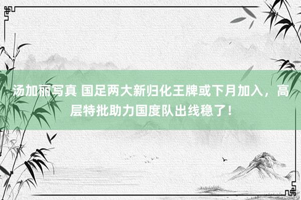 汤加丽写真 国足两大新归化王牌或下月加入，高层特批助力国度队出线稳了！