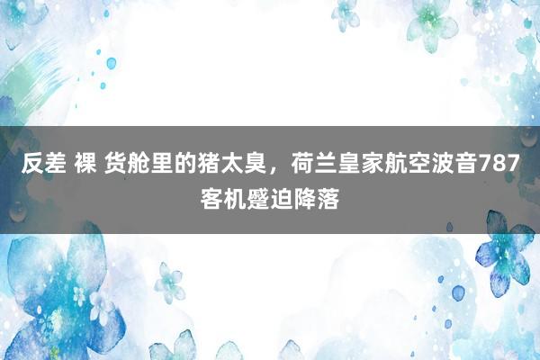 反差 裸 货舱里的猪太臭，荷兰皇家航空波音787客机蹙迫降落