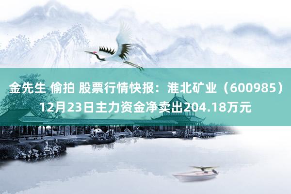 金先生 偷拍 股票行情快报：淮北矿业（600985）12月23日主力资金净卖出204.18万元