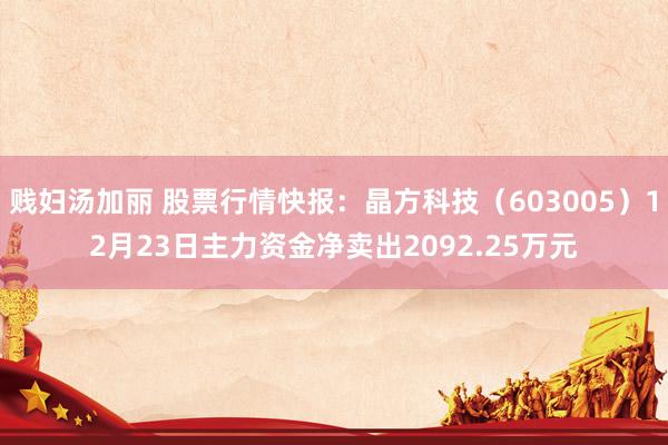 贱妇汤加丽 股票行情快报：晶方科技（603005）12月23日主力资金净卖出2092.25万元