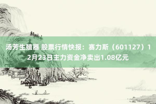 汤芳生殖器 股票行情快报：赛力斯（601127）12月23日主力资金净卖出1.08亿元