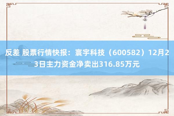 反差 股票行情快报：寰宇科技（600582）12月23日主力资金净卖出316.85万元