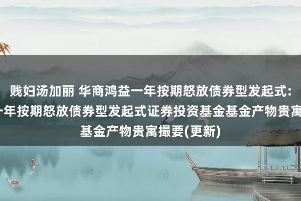 贱妇汤加丽 华商鸿益一年按期怒放债券型发起式: 华商鸿益一年按期怒放债券型发起式证券投资基金基金产物贵寓撮要(更新)