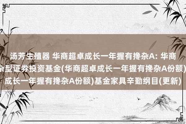 汤芳生殖器 华商超卓成长一年握有搀杂A: 华商超卓成长一年握有期搀杂型证券投资基金(华商超卓成长一年握有搀杂A份额)基金家具辛勤纲目(更新)