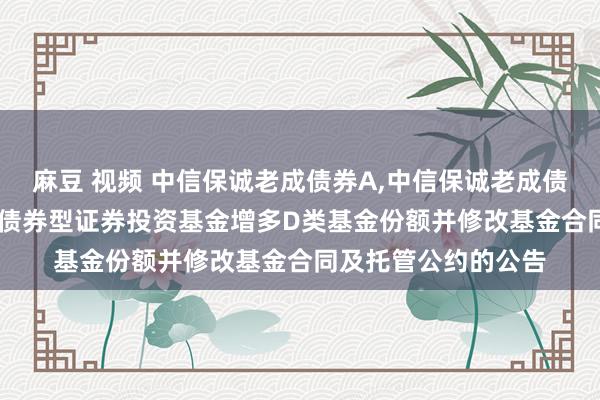 麻豆 视频 中信保诚老成债券A，中信保诚老成债券C: 中信保诚老成债券型证券投资基金增多D类基金份额并修改基金合同及托管公约的公告