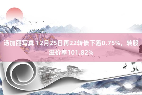 汤加丽写真 12月25日再22转债下落0.75%，转股溢价率101.82%