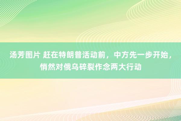 汤芳图片 赶在特朗普活动前，中方先一步开始，悄然对俄乌碎裂作念两大行动