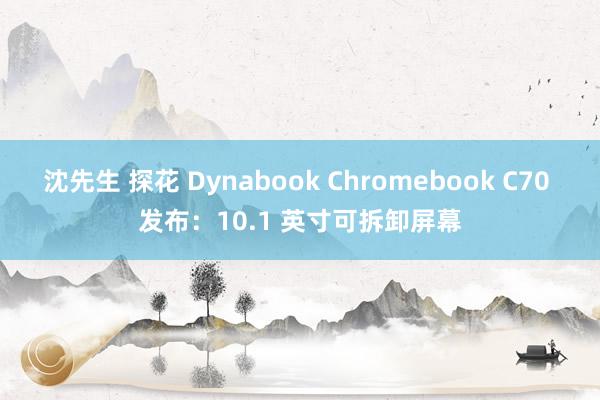 沈先生 探花 Dynabook Chromebook C70 发布：10.1 英寸可拆卸屏幕