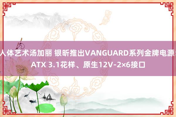 人体艺术汤加丽 银昕推出VANGUARD系列金牌电源：ATX 3.1花样、原生12V-2×6接口