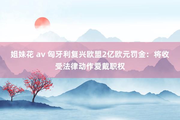 姐妹花 av 匈牙利复兴欧盟2亿欧元罚金：将收受法律动作爱戴职权