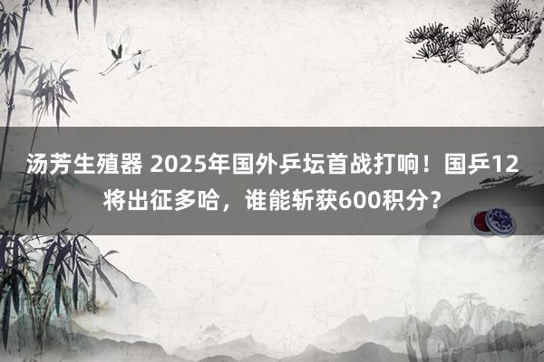 汤芳生殖器 2025年国外乒坛首战打响！国乒12将出征多哈，谁能斩获600积分？