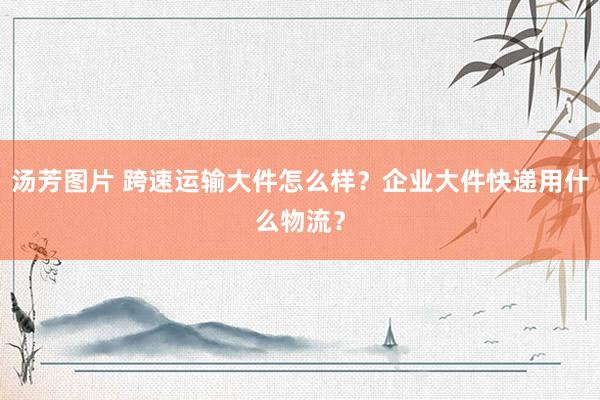 汤芳图片 跨速运输大件怎么样？企业大件快递用什么物流？