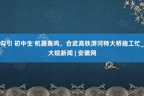 勾引 初中生 机器轰鸣，合武高铁淠河特大桥施工忙_大皖新闻 | 安徽网