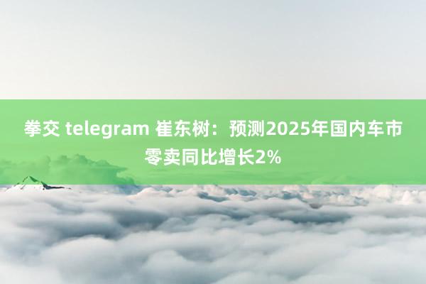 拳交 telegram 崔东树：预测2025年国内车市零卖同比增长2%