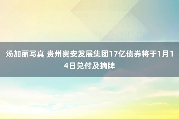 汤加丽写真 贵州贵安发展集团17亿债券将于1月14日兑付及摘牌