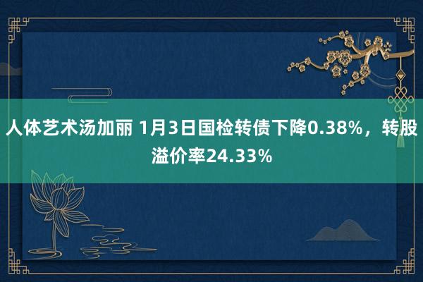 人体艺术汤加丽 1月3日国检转债下降0.38%，转股溢价率24.33%