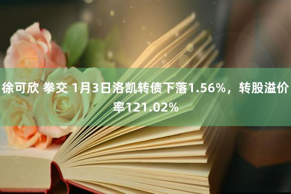 徐可欣 拳交 1月3日洛凯转债下落1.56%，转股溢价率121.02%