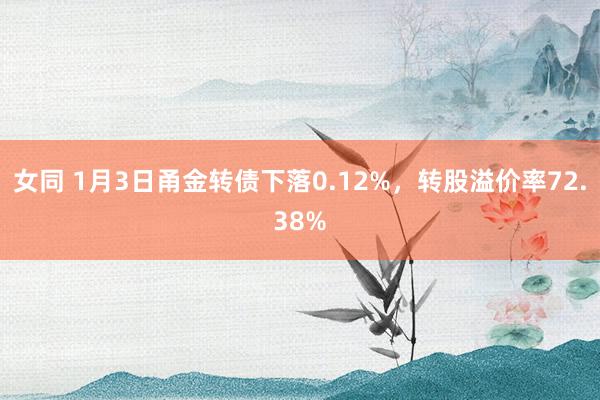 女同 1月3日甬金转债下落0.12%，转股溢价率72.38%