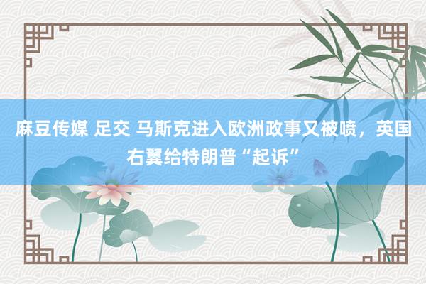 麻豆传媒 足交 马斯克进入欧洲政事又被喷，英国右翼给特朗普“起诉”