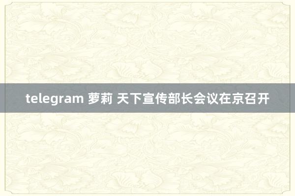 telegram 萝莉 天下宣传部长会议在京召开