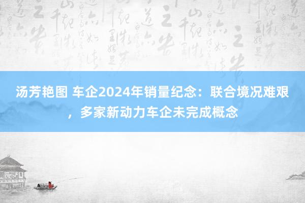 汤芳艳图 车企2024年销量纪念：联合境况难艰，多家新动力车企未完成概念