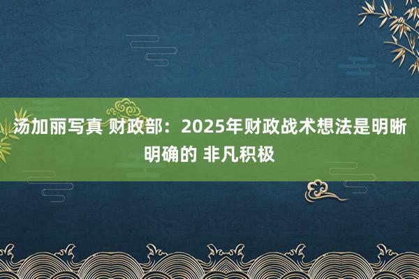 汤加丽写真 财政部：2025年财政战术想法是明晰明确的 非凡积极