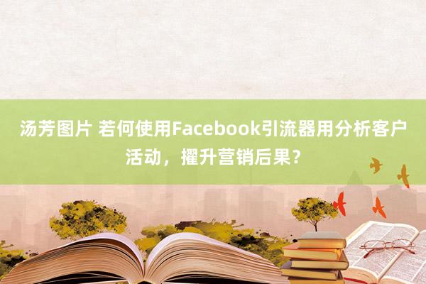 汤芳图片 若何使用Facebook引流器用分析客户活动，擢升营销后果？