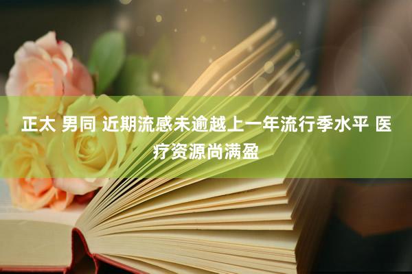 正太 男同 近期流感未逾越上一年流行季水平 医疗资源尚满盈