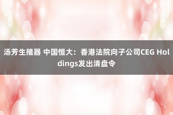 汤芳生殖器 中国恒大：香港法院向子公司CEG Holdings发出清盘令