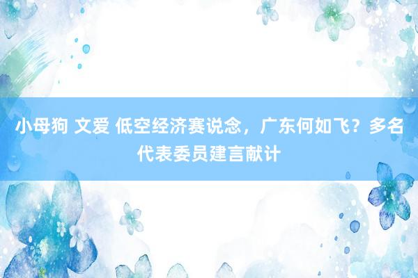 小母狗 文爱 低空经济赛说念，广东何如飞？多名代表委员建言献计