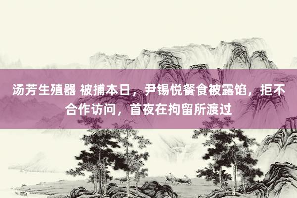 汤芳生殖器 被捕本日，尹锡悦餐食被露馅，拒不合作访问，首夜在拘留所渡过