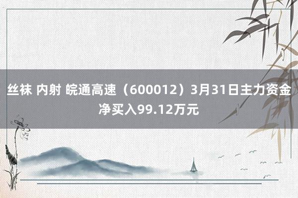 丝袜 内射 皖通高速（600012）3月31日主力资金净买入99.12万元